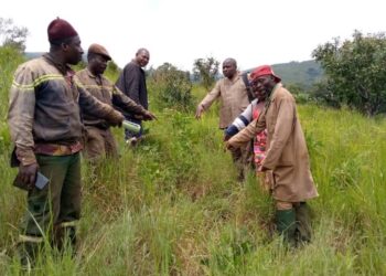 Quelle est la nature du relief et du climat dans le Groupement Batchingou.